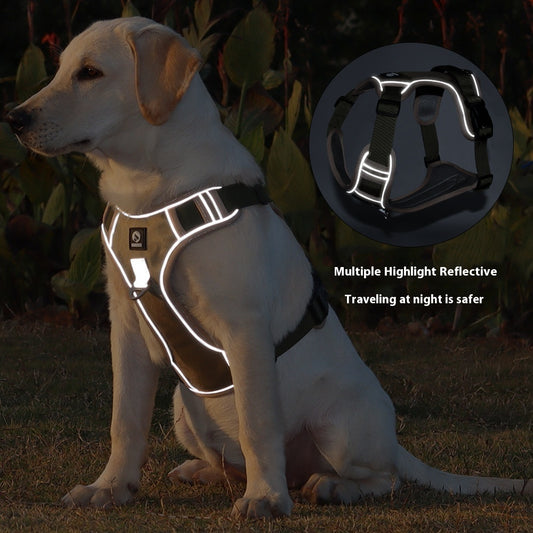 Dog hold rope with explosion-proof handle